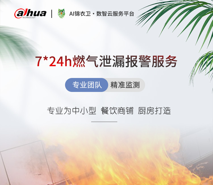 7*24h店铺燃气泄露报警服务