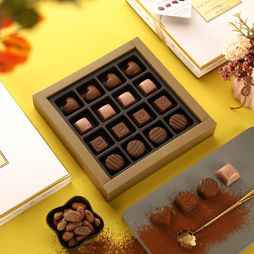 土耳其依妮经典造型/可可果造型什锦巧克力 浓郁丝滑浓浓满足 040189-2/040189-1 商品图3