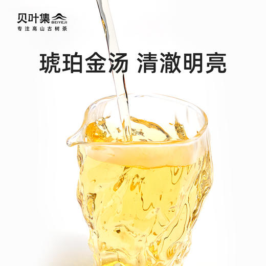 贝叶集云南红茶滇红古茶树原始稀缺品种秘境野韵高端礼盒 商品图3