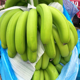 【特惠活动】香甜柔糯 肉质细腻 |  云南文山威廉斯香蕉 高山绿皮香蕉 新鲜水果 5斤彩箱装（约13-18根左右）[注意：青皮发货，需自行催熟，捂至黄熟后食用]