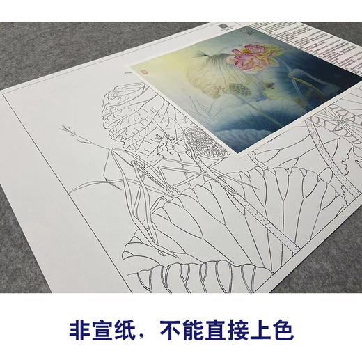 【大彩图】杨冬冬工笔画白描底稿小品《风送馨香》荷花临摹勾线花鸟线稿HD27 商品图2