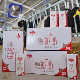 新疆特产金绿成无忧牧场3.6蛋白纯牛奶