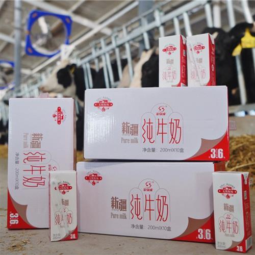 新疆特产金绿成无忧牧场3.6蛋白纯牛奶 商品图0