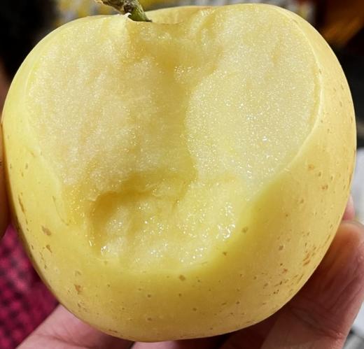 【包邮】烟台维纳斯苹果 20°左右纯甜 口感脆爽 饱满多汁 无农残 吃得放心！ 商品图1