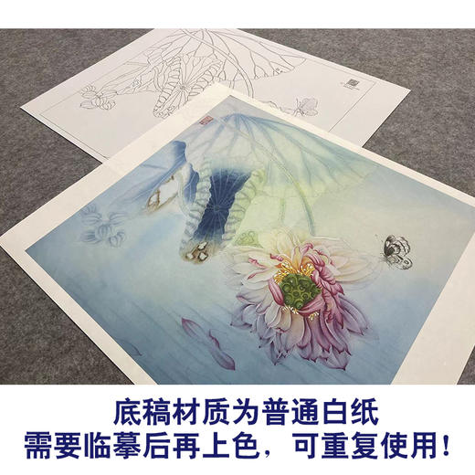【大彩图】杨冬冬工笔画白描底稿小品《瑶台月下影》荷花临摹勾线花鸟线稿HD20 商品图3
