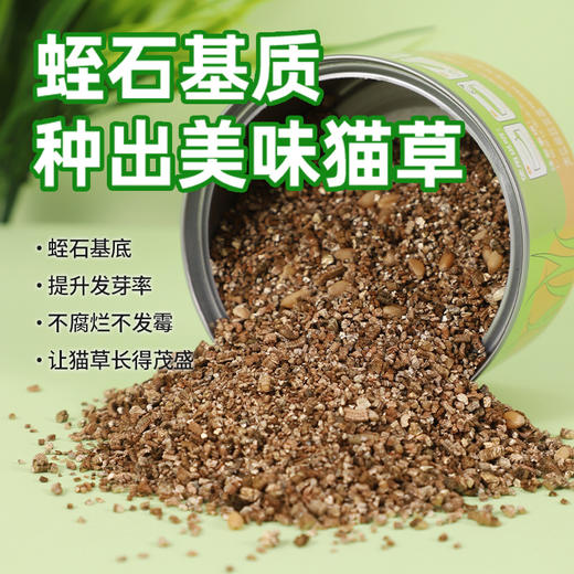 麦斯蒂植高无上懒人猫草罐装 浇水即长 小麦苗猫咪零食化毛球 商品图2