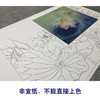 【大彩图】杨冬冬工笔画白描底稿小品《夜月幽梦》荷花临摹勾线花鸟线稿HD19 商品缩略图2