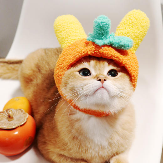 龙年系列好运连连头饰 商品图5