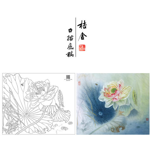 【大彩图】杨冬冬工笔画白描底稿小品《碧玉落水中》荷花临摹勾线花鸟线稿HD18 商品图0