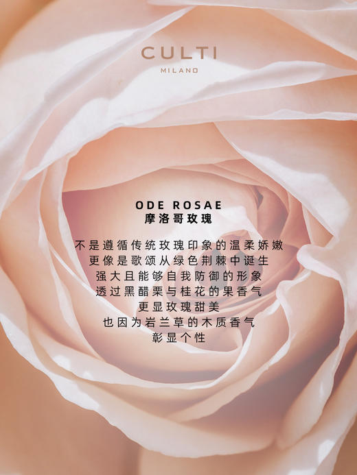 CULTI/库俐缇  摩洛哥玫瑰 商品图4