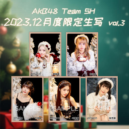 AKB48teamSH 12月度限定生写VOL.1/VOL.2/VOL.3/ 商品图2