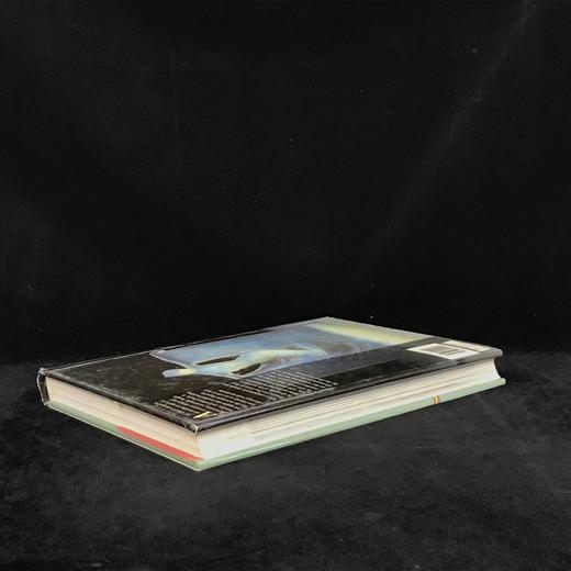 装饰派艺术图集（2002） 数百幅插图 精装大16开 商品图2