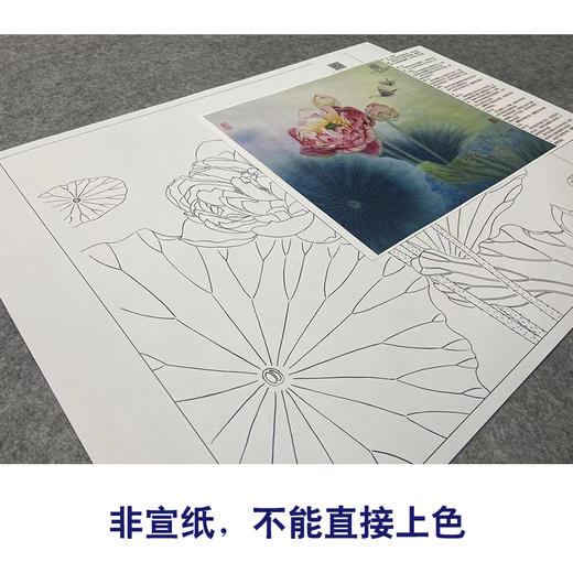 【大彩图】杨冬冬工笔画白描底稿小品《双蝶慕幽香》荷花临摹勾线花鸟线稿HD23 商品图2