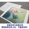 【大彩图】杨冬冬工笔画白描底稿小品《双蝶慕幽香》荷花临摹勾线花鸟线稿HD23 商品缩略图3