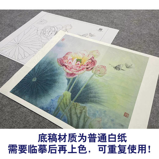 【大彩图】杨冬冬工笔画白描底稿小品《双蝶慕幽香》荷花临摹勾线花鸟线稿HD23 商品图3
