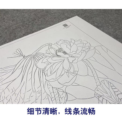 【大彩图】杨冬冬工笔画白描底稿小品《风送馨香》荷花临摹勾线花鸟线稿HD27 商品图4