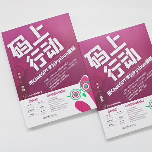 码上行动：用ChatGPT学会Python编程 袁昕 编著 北京大学出版社 商品图4