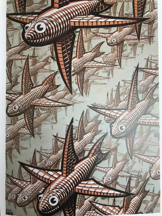 埃舍尔的世界 300幅插图 精装16开 商品图11