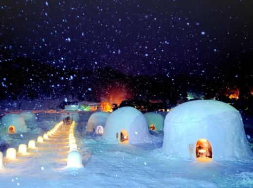 新宿出发 雪猴 1天巴士之旅【需二次确认】B-0030 商品图4