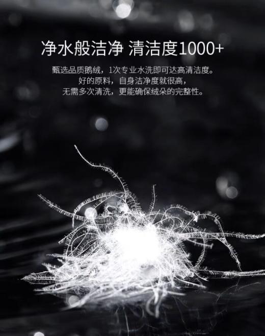罗卡芙95%白鹅绒抗菌分区保温鹅绒春秋被/冬被  布雷西亚鹅绒被 商品图4