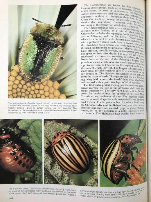 拉鲁斯动物世界百科全书 1000余幅彩色插图 精装大16开 商品图11