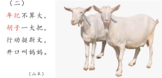 谜语《山羊》 商品图0