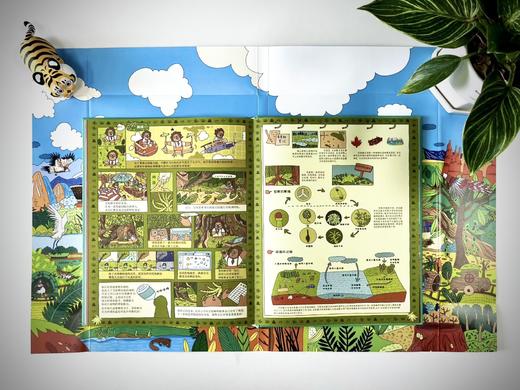 中国国家公园 商品图4