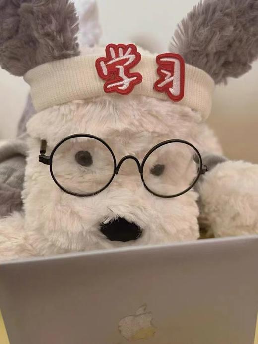 纯元！Jillycat 狗狗系列里  tumblie 趴趴狗！ 商品图6