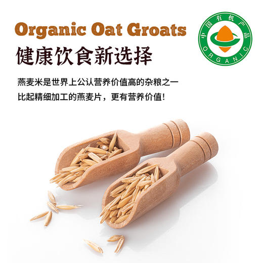 内蒙古有机燕麦米 商品图3