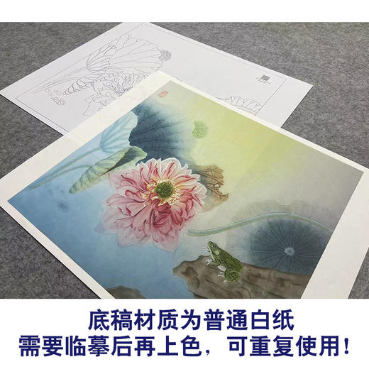 【大彩图】杨冬冬工笔画白描底稿小品《浮香绕岸》荷花临摹勾线花鸟线稿HD26 商品图3