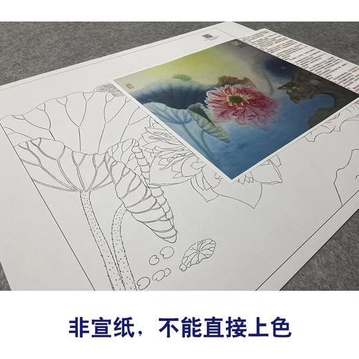 【大彩图】杨冬冬工笔画白描底稿小品《浮香绕岸》荷花临摹勾线花鸟线稿HD26 商品图2