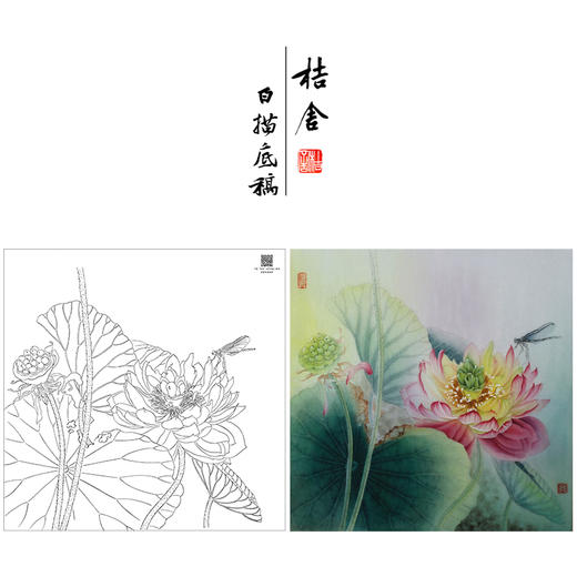 【大彩图】杨冬冬工笔画白描底稿小品《莲蕊染香尘》荷花临摹勾线花鸟线稿HD24 商品图0
