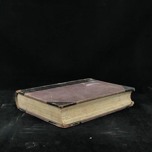 约19世纪后期 戈德史密斯《地球与自然史》（卷1） 数十幅手工上色版版画插图 真皮精装16开 商品图1