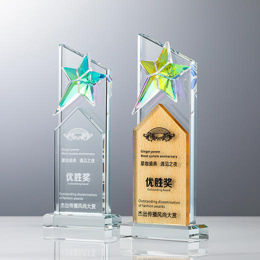 定制水晶奖杯炫彩五角星公司年会优秀员工运动会颁奖高档彩印纪念 商品图6