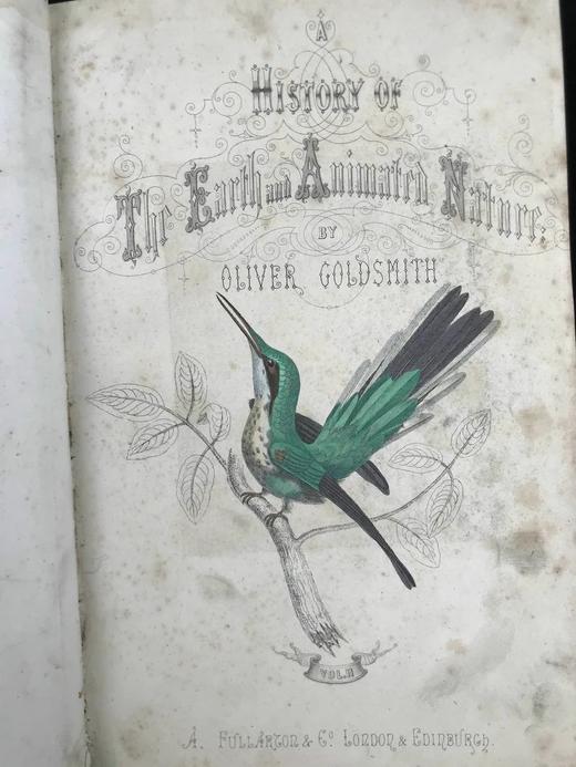 约19世纪后期 戈德史密斯《地球与自然史》（卷1） 数十幅手工上色版版画插图 真皮精装16开 商品图2