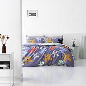 【梦洁】磨绒印花四件套 恋青春（被套200*230cm 床单230*250cm，枕套48*74cm ）