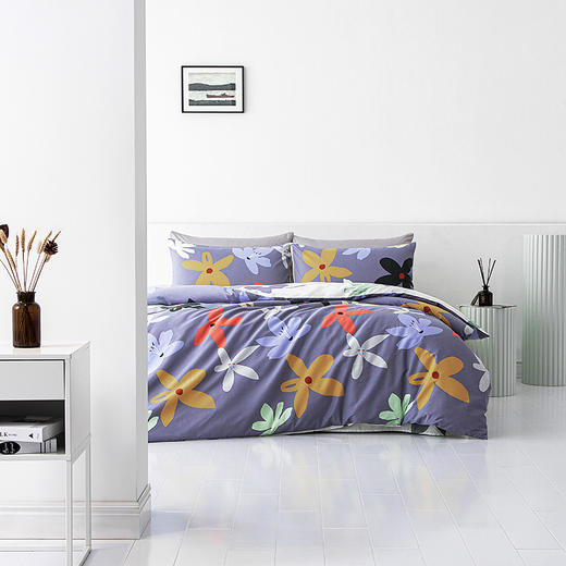 【梦洁】磨绒印花四件套 恋青春（被套200*230cm 床单230*250cm，枕套48*74cm ） 商品图0