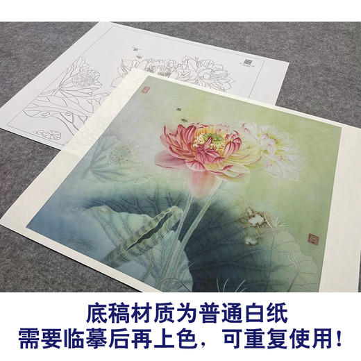 【大彩图】杨冬冬工笔画白描底稿小品《双影共分红》荷花临摹勾线花鸟线稿HD22 商品图3