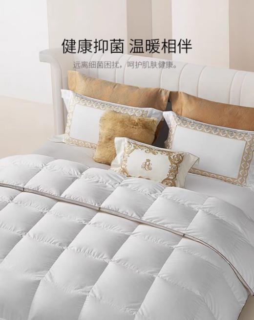罗卡芙95%白鹅绒抗菌分区保温鹅绒春秋被/冬被  布雷西亚鹅绒被 商品图1
