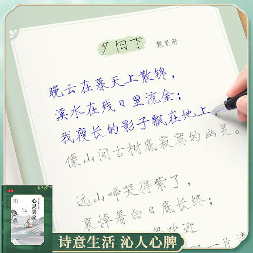 瘦金体练字帖男女生漂亮字体大学生钢笔硬笔书法入门练字本 商品图6