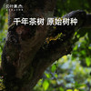 贝叶集云南红茶滇红古茶树原始稀缺品种秘境野韵高端礼盒 商品缩略图1