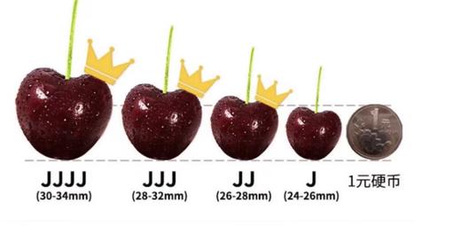 车厘子新鲜当季  时令水果脆甜 商品图0