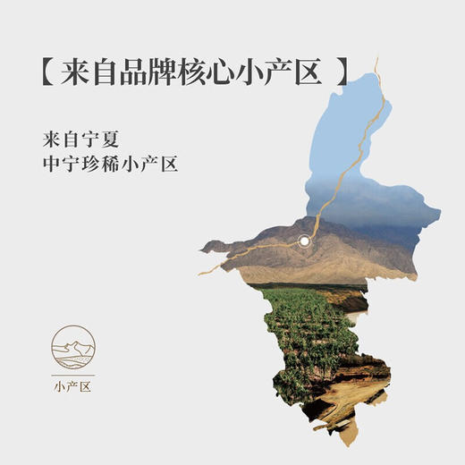 180g一顶天红免洗枸杞 商品图3