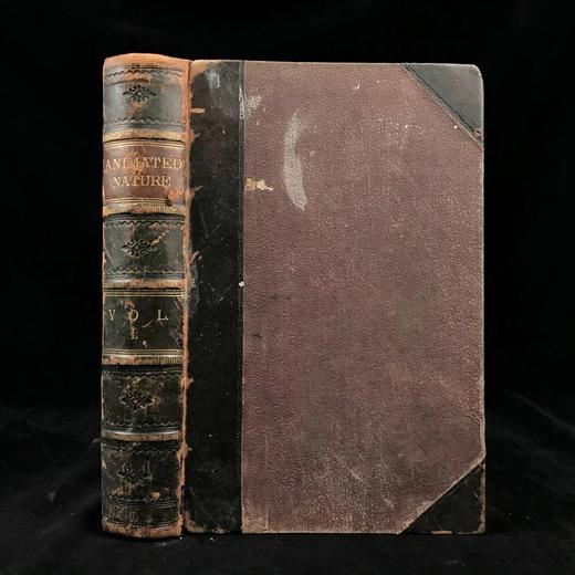 约19世纪后期 戈德史密斯《地球与自然史》（卷1） 数十幅手工上色版版画插图 真皮精装16开 商品图0