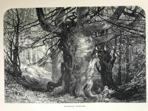 约19世纪后期 欧洲风景图集（卷1） 数百幅版画插图 真皮精装大16开 商品图7