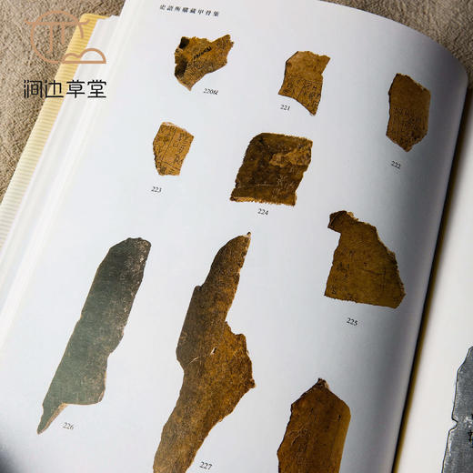 【绝版好书】《史语所购藏甲骨集》大16开精装260页，高清，2009年史语所初版 商品图2