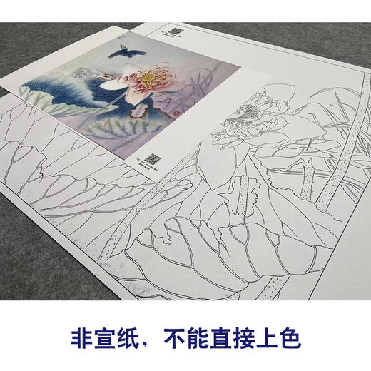 【大彩图】杨冬冬工笔画白描底稿小品《荷花》临摹勾线花鸟线稿HD17 商品图2