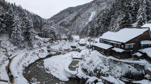 新宿出发 雪猴 1天巴士之旅【需二次确认】B-0030 商品图0