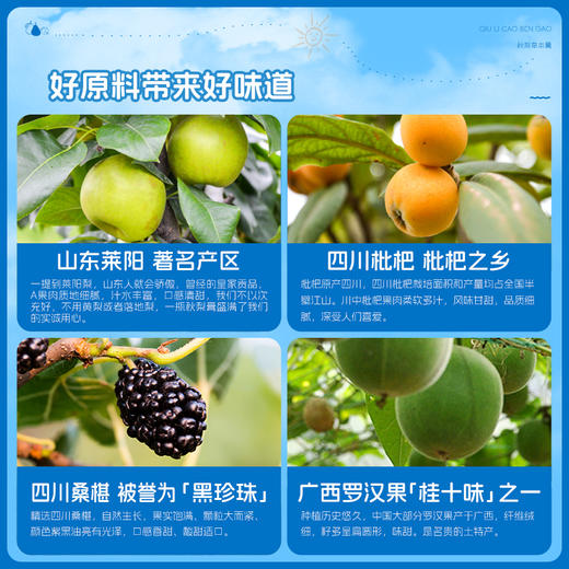 康美秋梨膏 雪梨草本膏枇杷梨膏甘草枇杷膏 咳嗽滋润枇杷膏 携独立装12支/盒 144克 商品图4