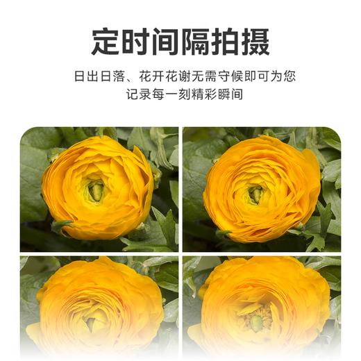 FB沣标 无线定时快门线遥控器 延时摄影 B门间隔定时拍摄 微单反相机快门线 FB-WX 商品图5